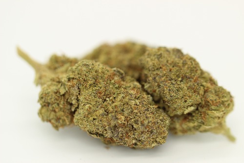 Sour Apple (Light Dep AA++)