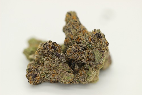 Zerbert (Super Indoor)