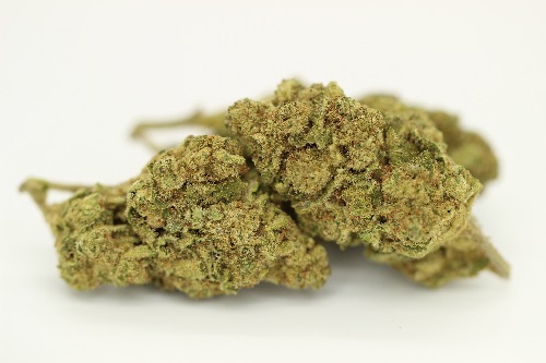 Papaya Cake (Super Indoor)