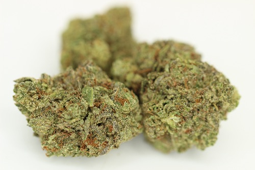 DC - Capital Buds Product - Trainwreck | Indoor AA++