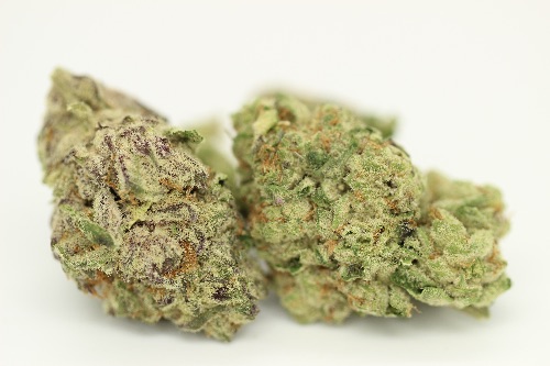 Purple Punch (Super Indoor)