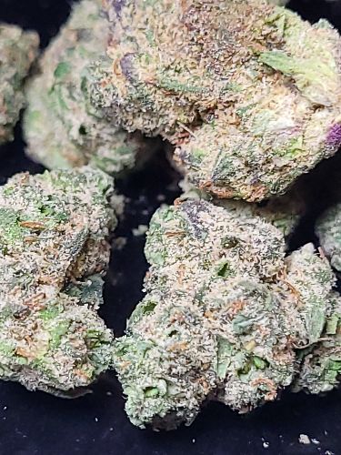 DC - Capital Buds Product - Candy Cane | Indoor AA