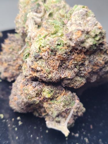 DC - Capital Buds - Gumbo | Indoor AA image