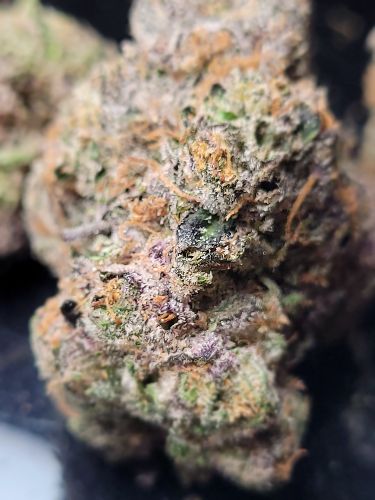 DC - Capital Buds Product - Sour Zkittlez | Super Indoor