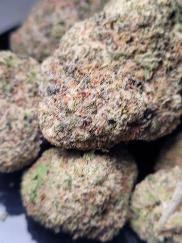 DC - Capital Buds - Magic Melon | Indoor AA image