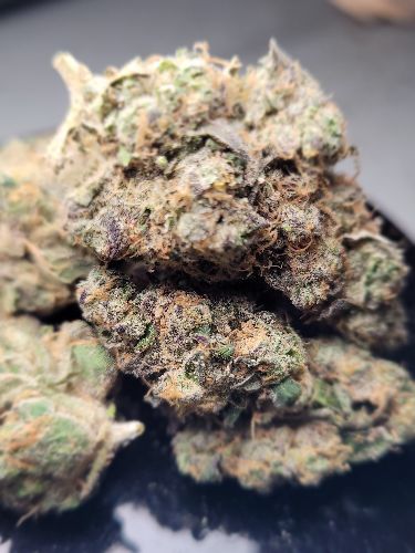 DC - Capital Buds Product - Sour Garlic Cookies | Super Indoor