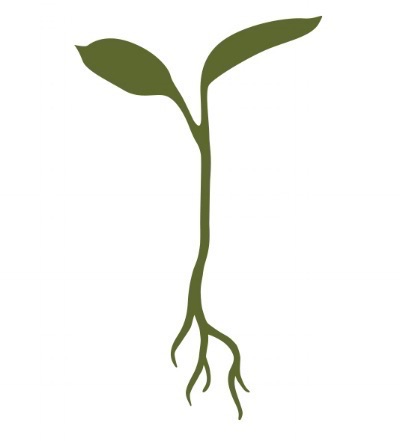 Sequoia Gas (RG)