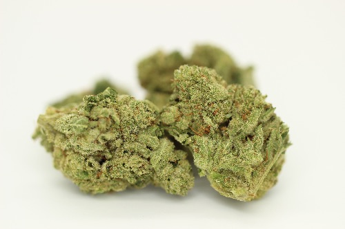 Gorilla Glue #4 (Indoor A+)