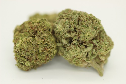 Vanilla Cake (Indoor AAA+++)