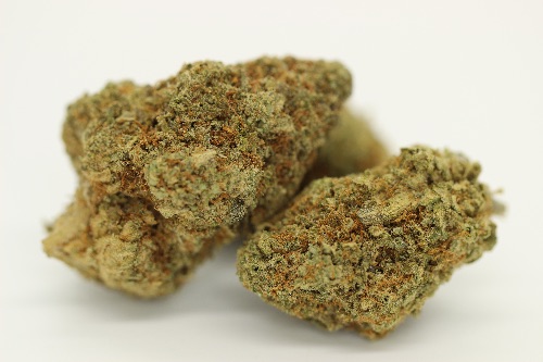 Black Mamba (Super Indoor)
