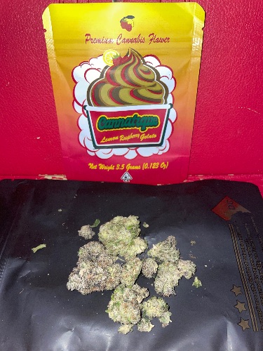 Cannatique Lemon Raspberry Gelato