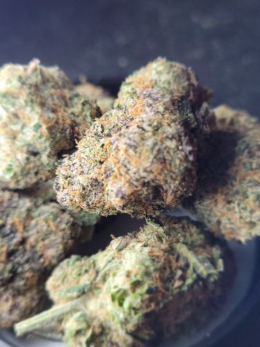 DC - Capital Buds - Lemon Berry Kush | Super Indoor image