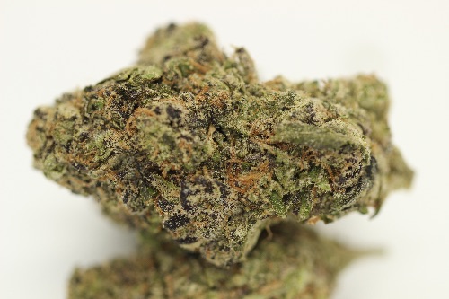 DC - Capital Buds Product - Purple Gumbo | Super Indoor