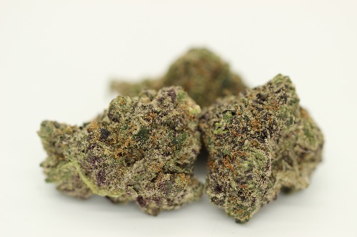 LCG x Snoop (Super Indoor)