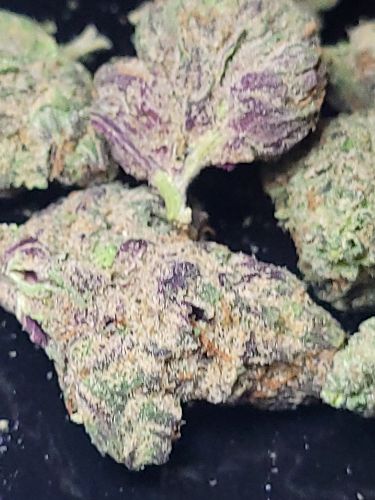 DC - Capital Buds Product - Double Rainbow Sherbert | Indoor AA